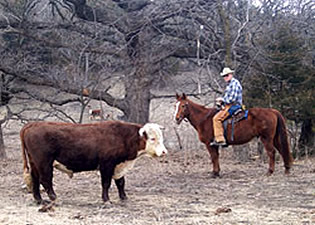 Working on the farm