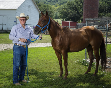 Cowboy Ron Wilson