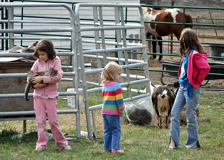 Kids petting farm animals